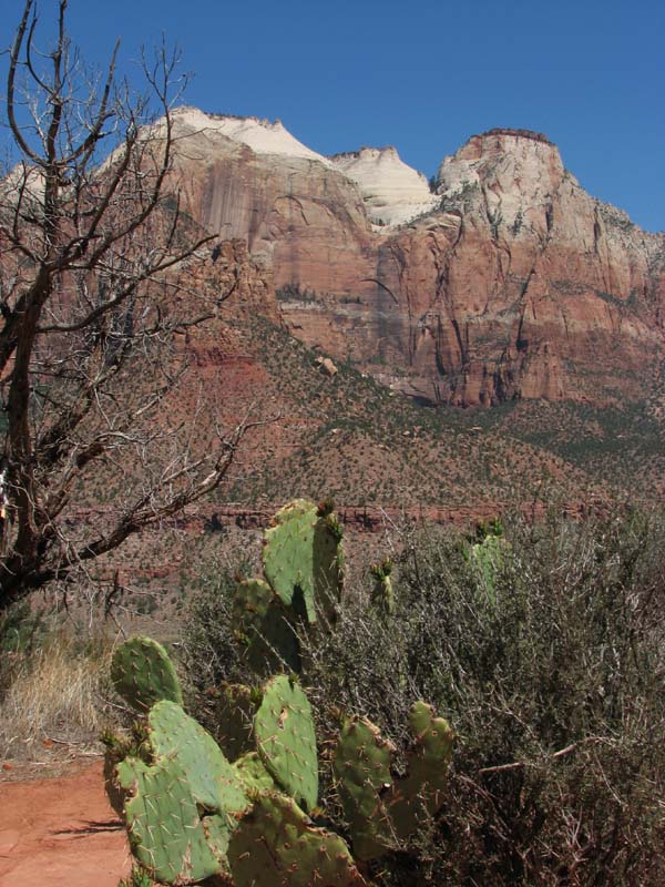 Zion - Towers of the Virgin